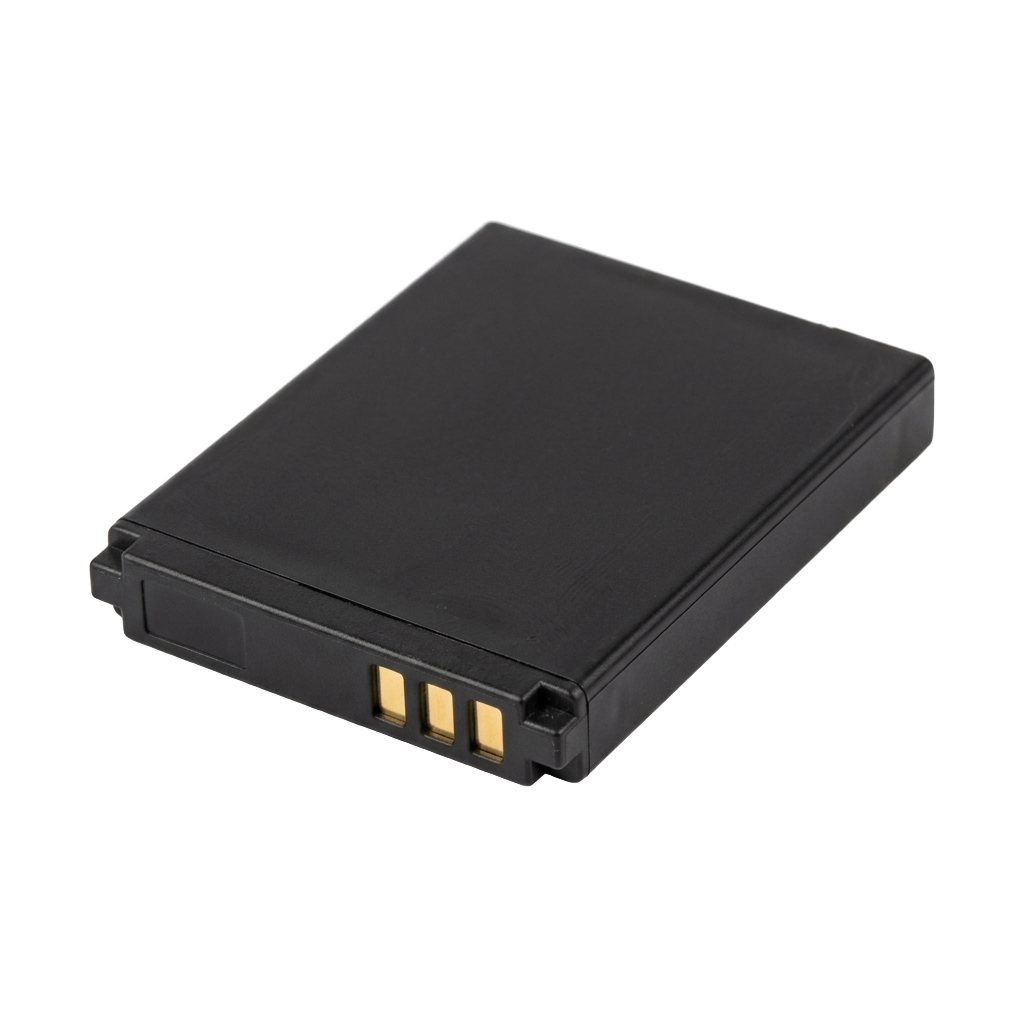 Spare Battery